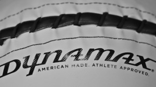 ballLogoSm