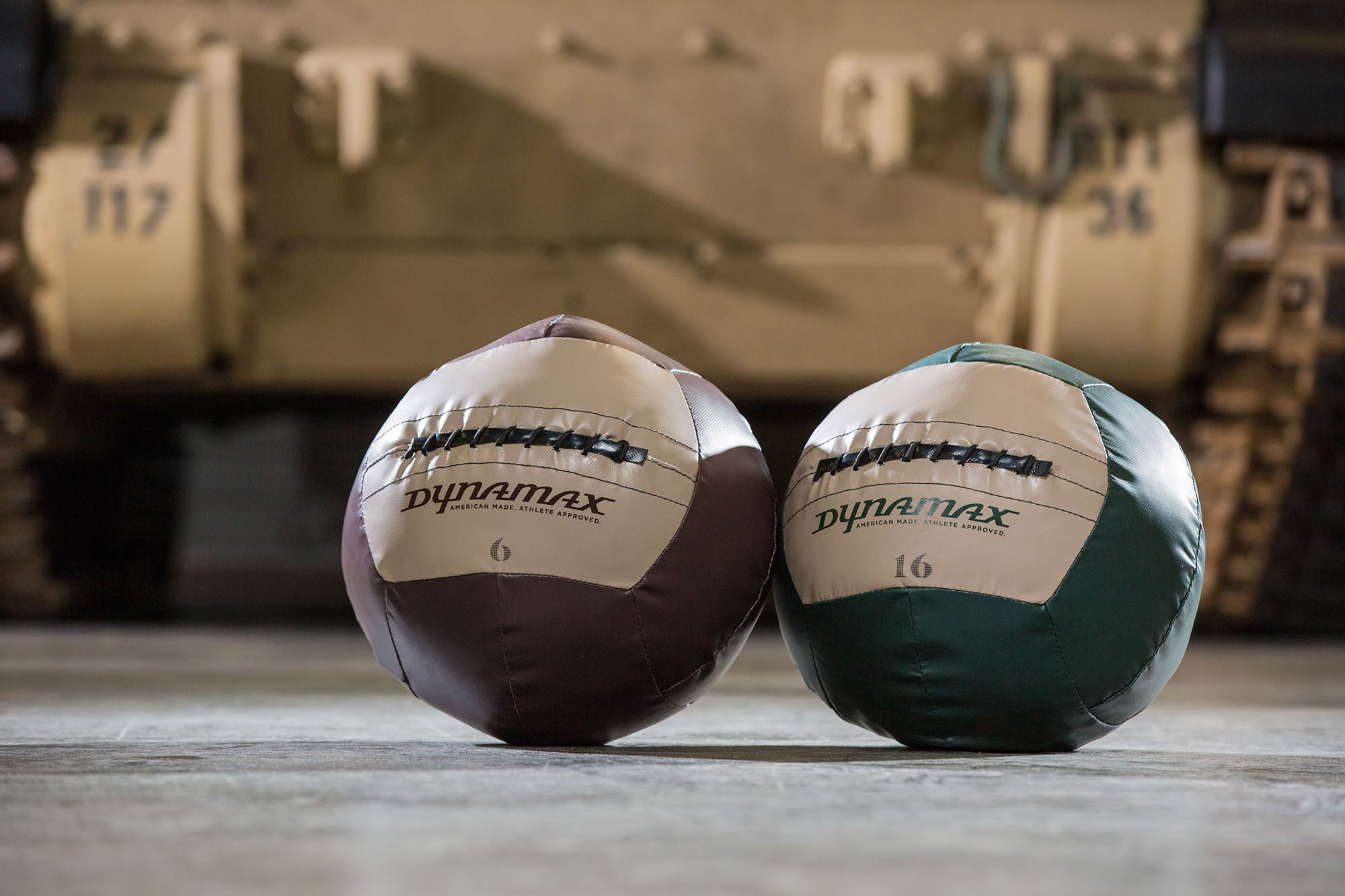 Dynamax Boot Camp Balls